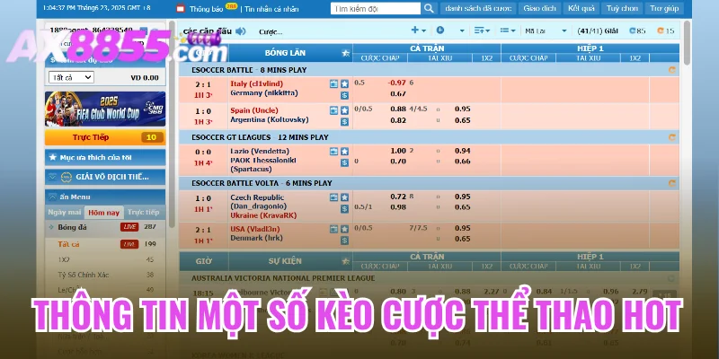 Thông tin một số kèo cược thể thao hot